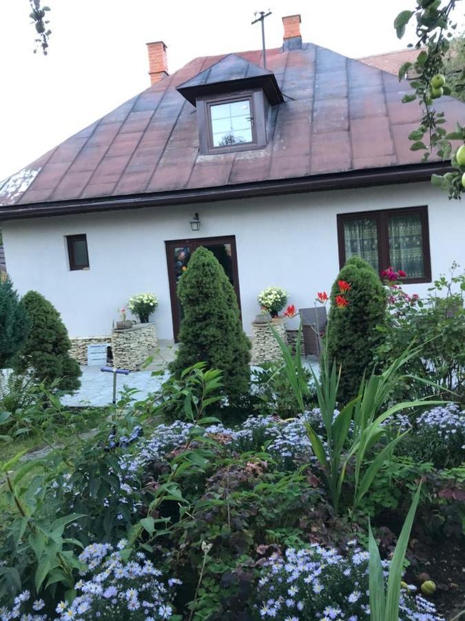 Casa Maria Villa Bran  Bagian luar foto